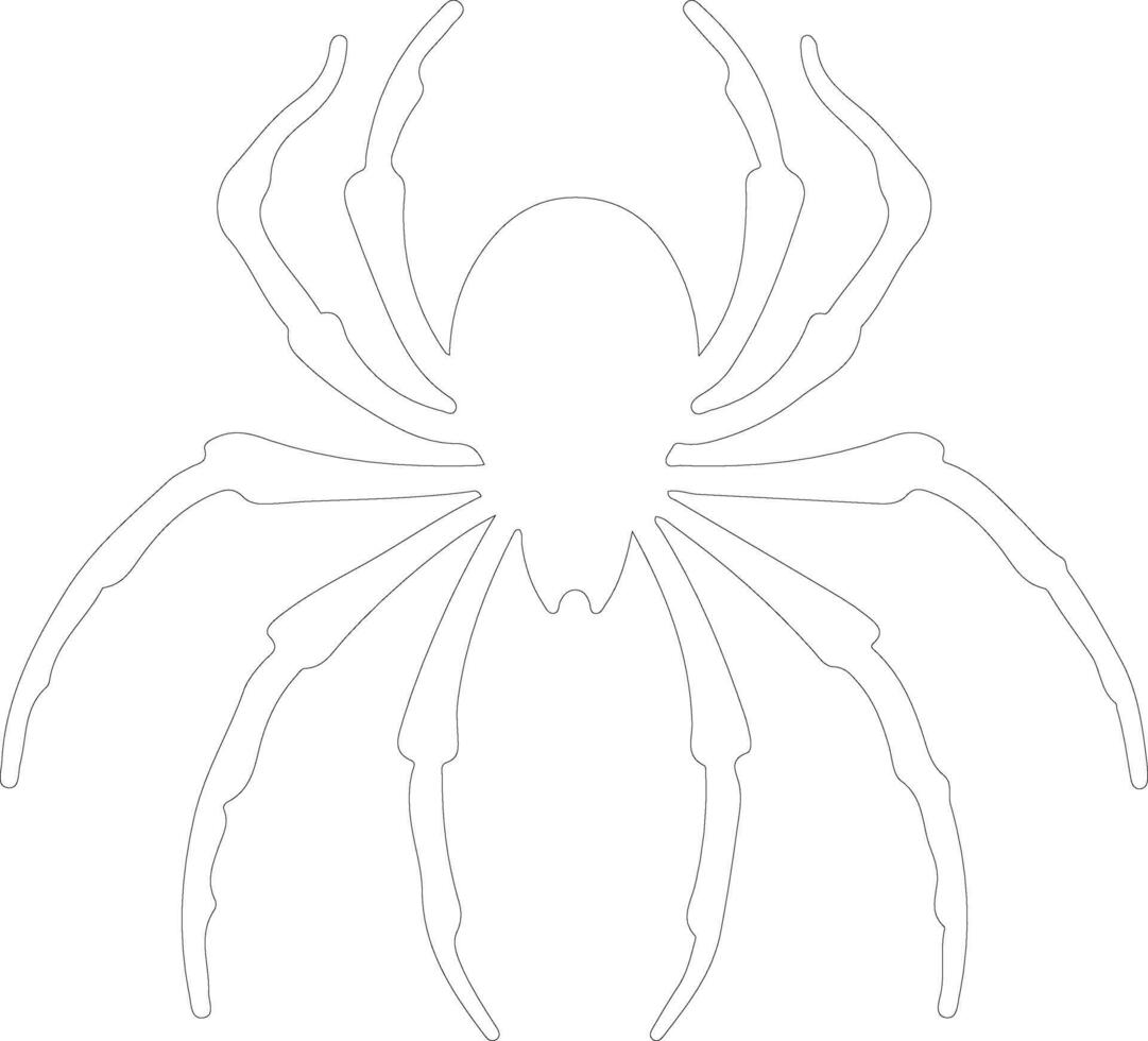 arachnid  outline silhouette vector
