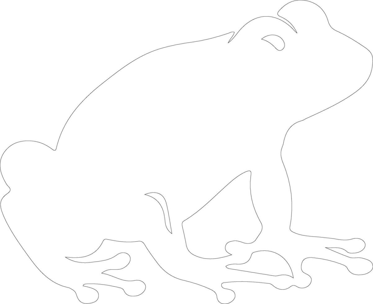 polliwog    outline silhouette vector