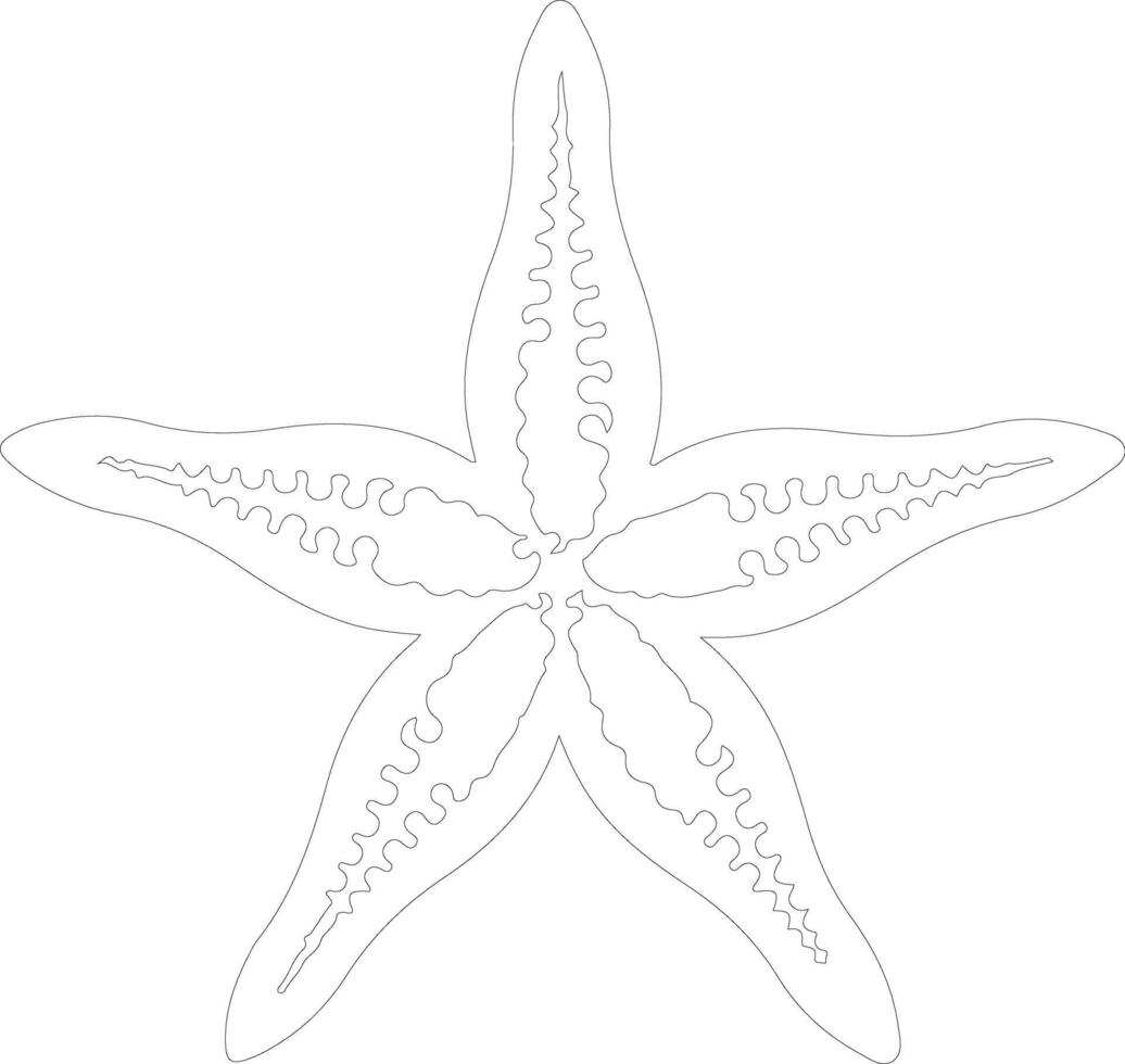 sea star    outline silhouette vector