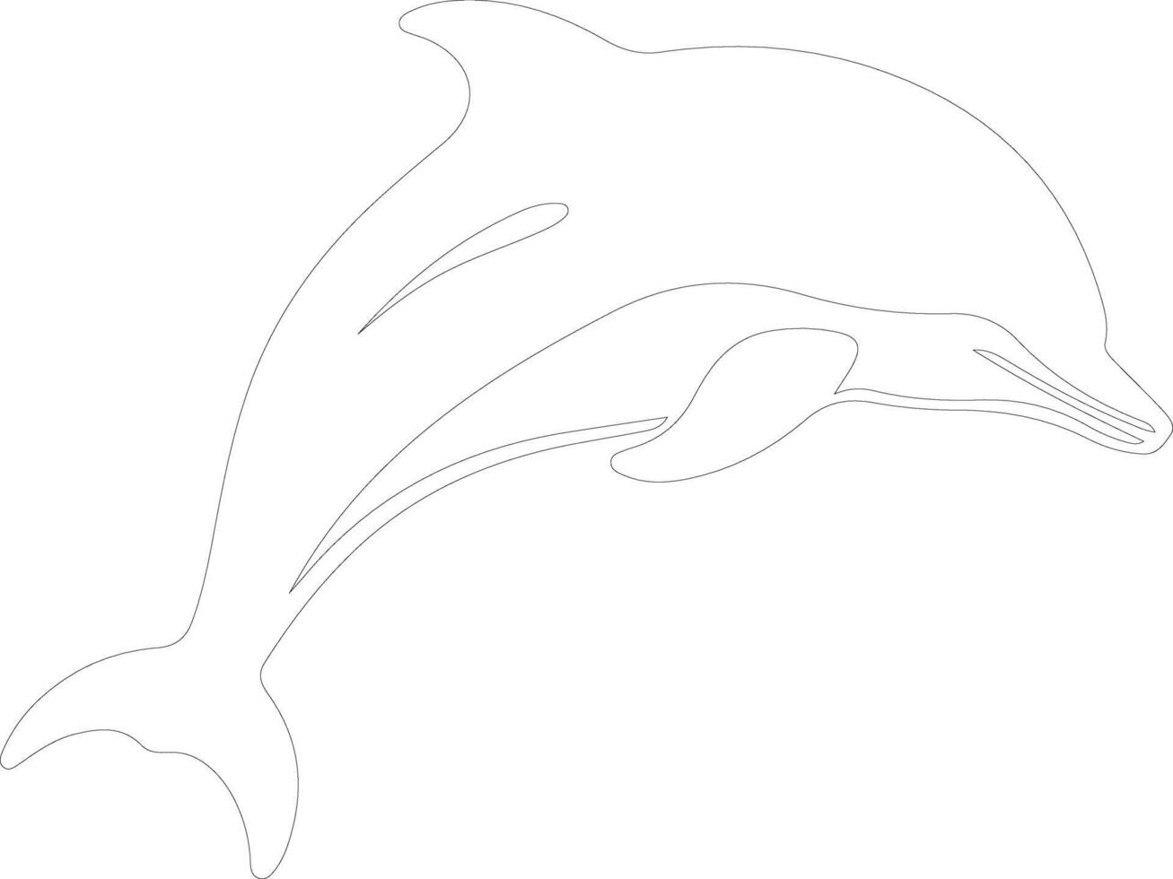 dolphin bottlenose    outline silhouette vector