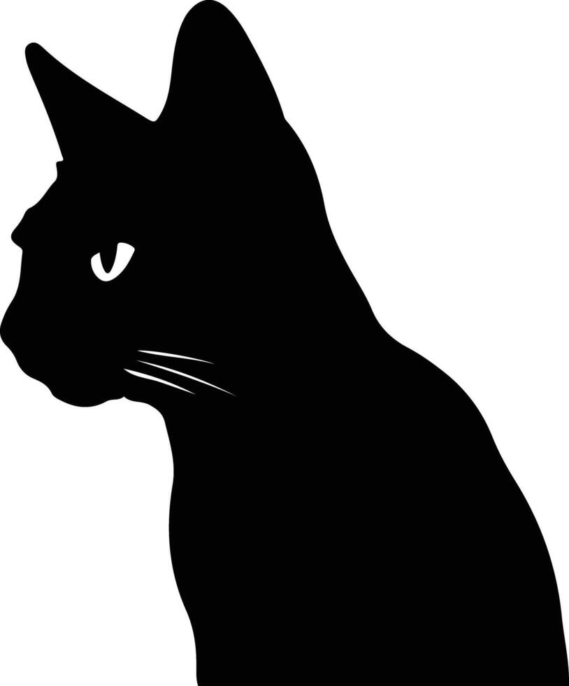 Colorpoint Shorthair Cat  silhouette portrait vector