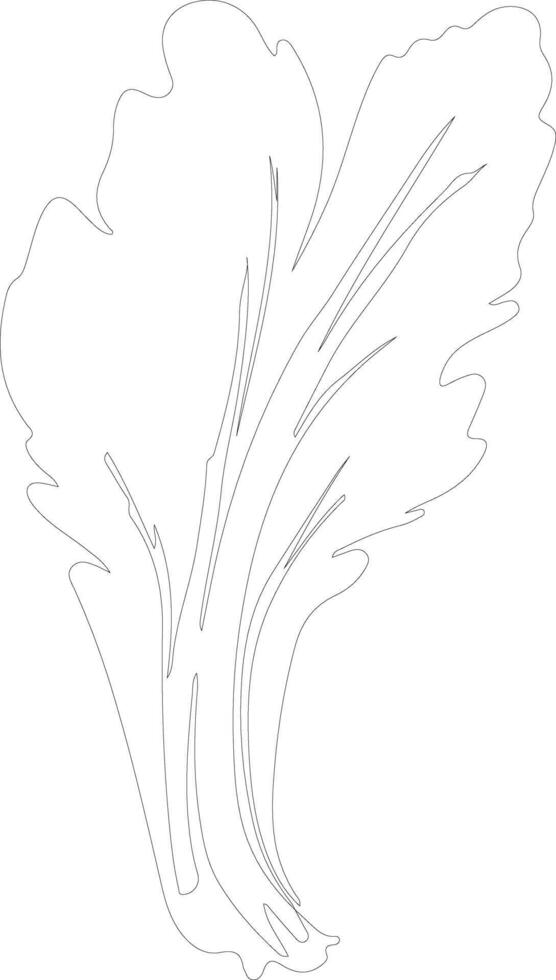 endive  outline silhouette vector