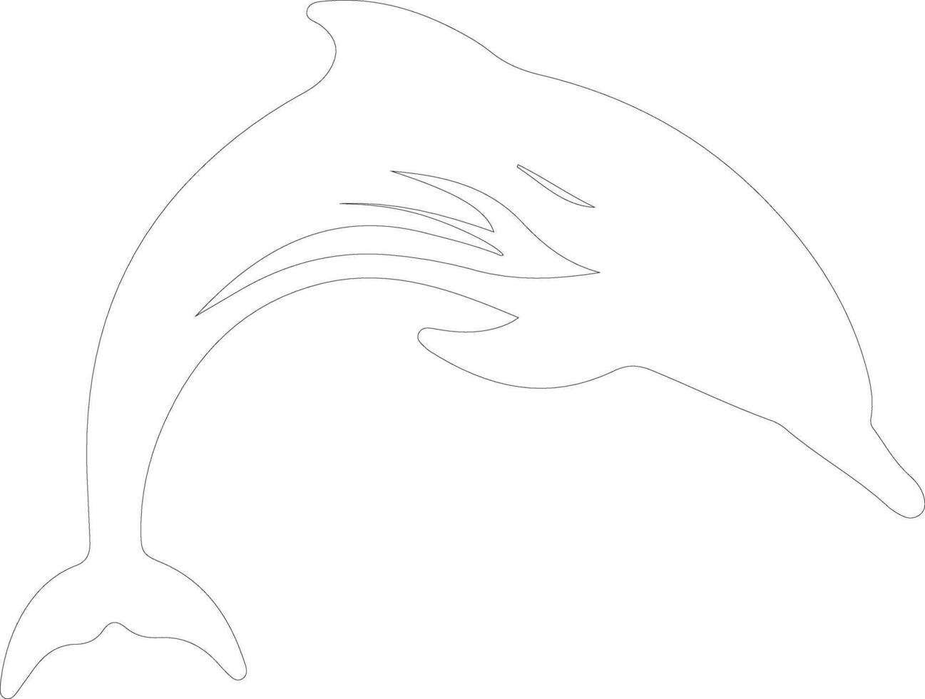 dolphin    outline silhouette vector
