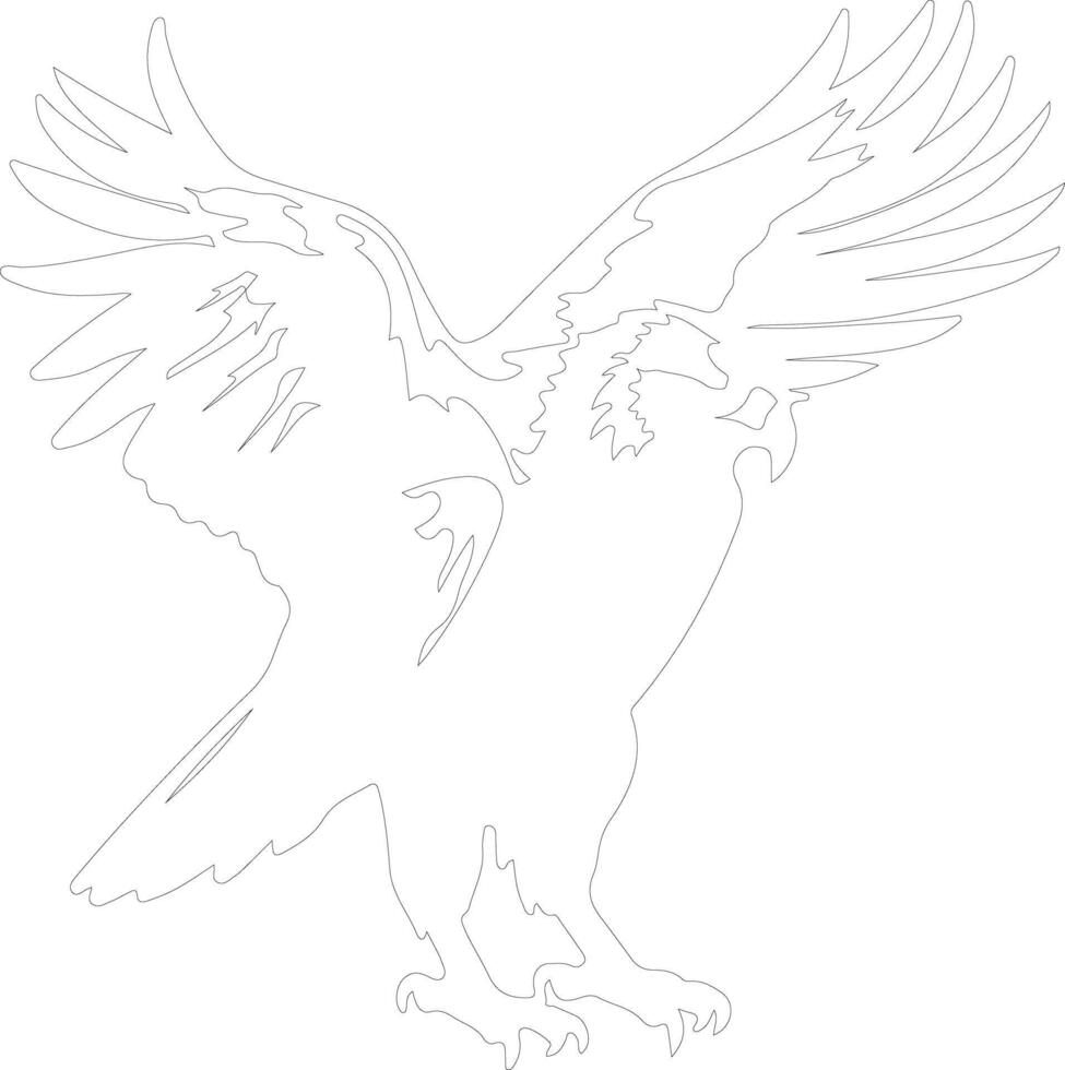 harpy eagle  outline silhouette vector