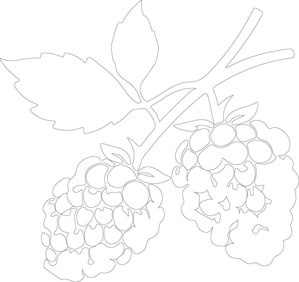 blackberry  outline silhouette vector