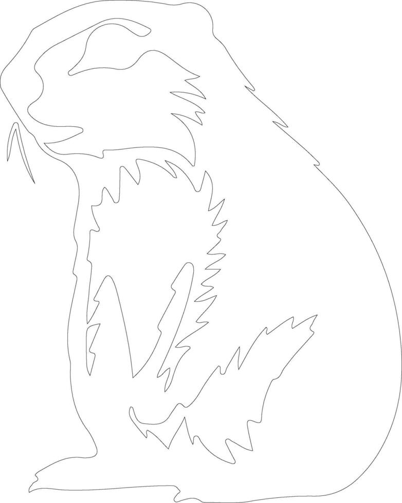 woodchuck  outline silhouette vector