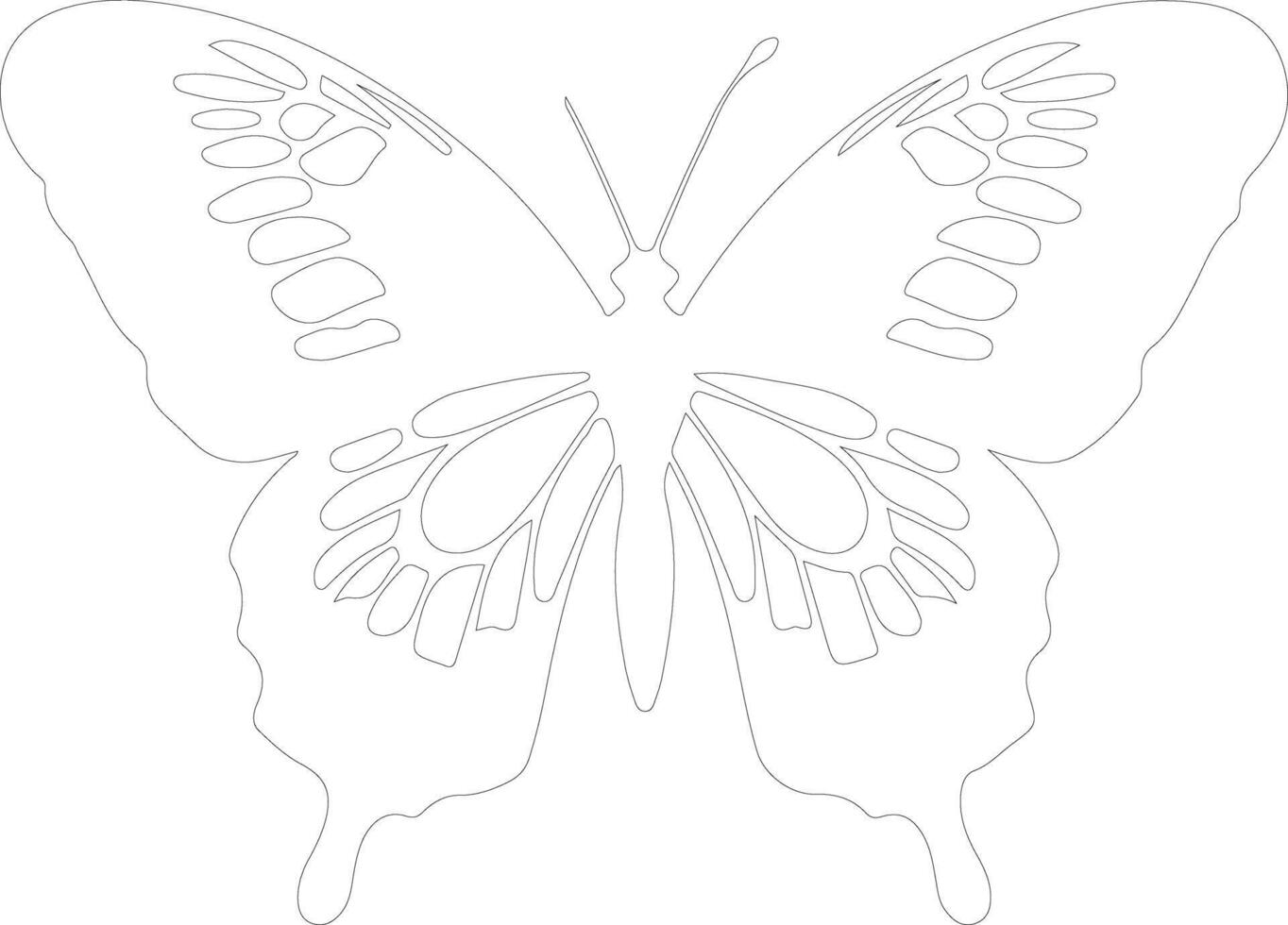 Queen Alexandras birdwing   outline silhouette vector