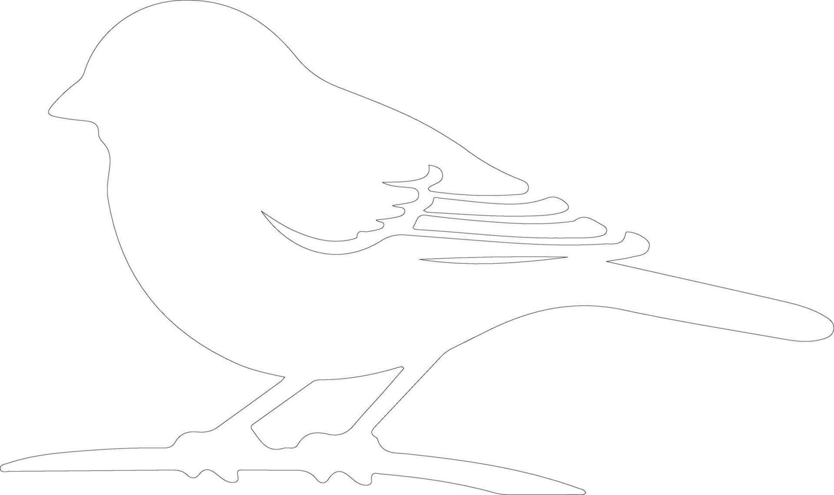 junco  outline silhouette vector