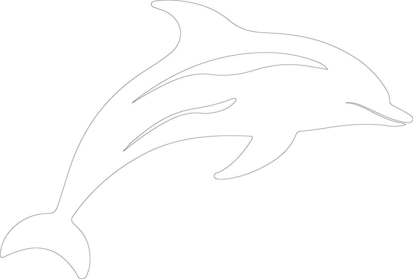 spectacled porpoise    outline silhouette vector