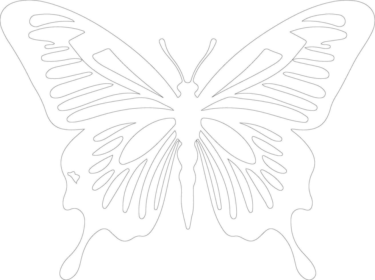 zebra swallowtail butterfly  outline silhouette vector