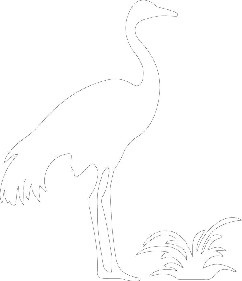commonrhea outline silhouette vector
