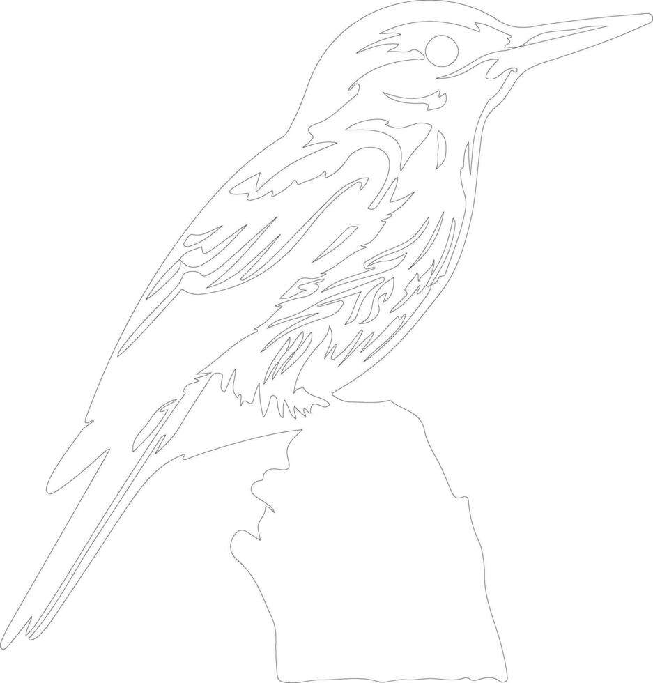 white-breasted nuthatch  outline silhouette vector