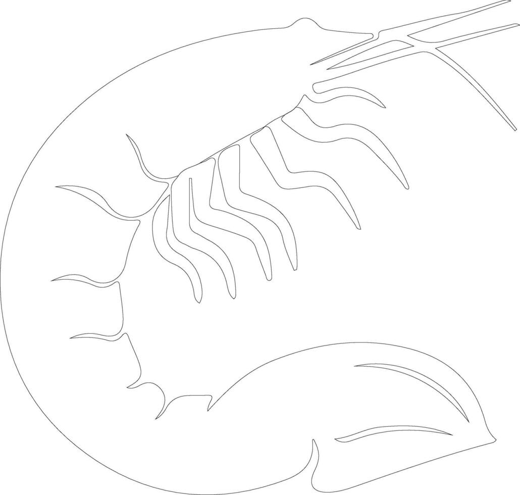 shrimp   outline silhouette vector
