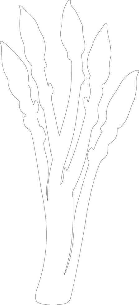 asparagus outline silhouette vector