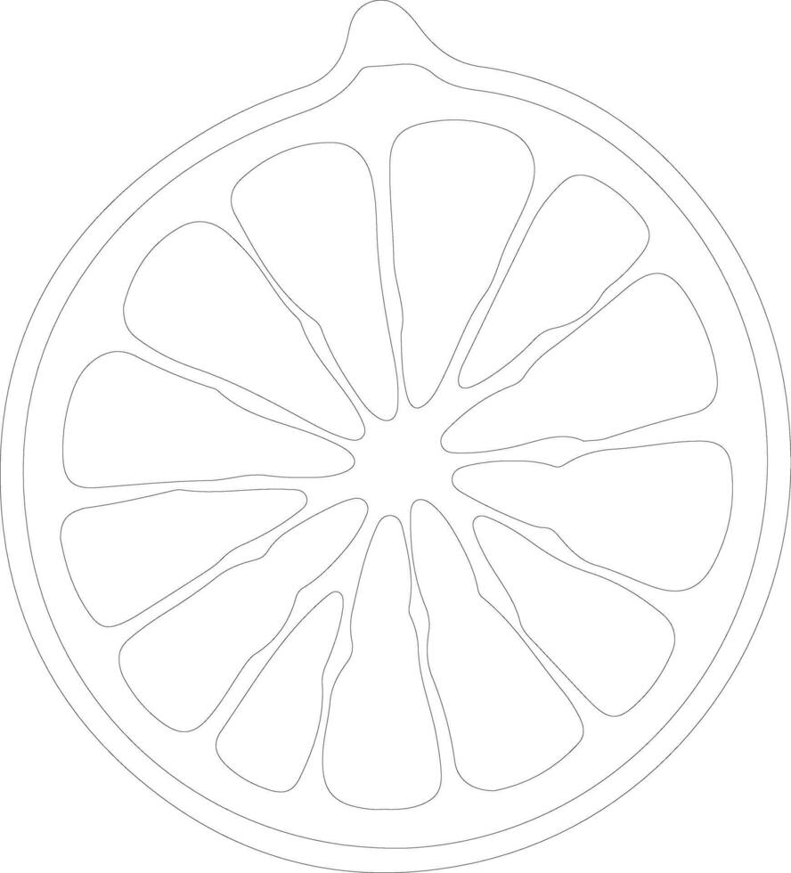 grapefruit outline silhouette vector