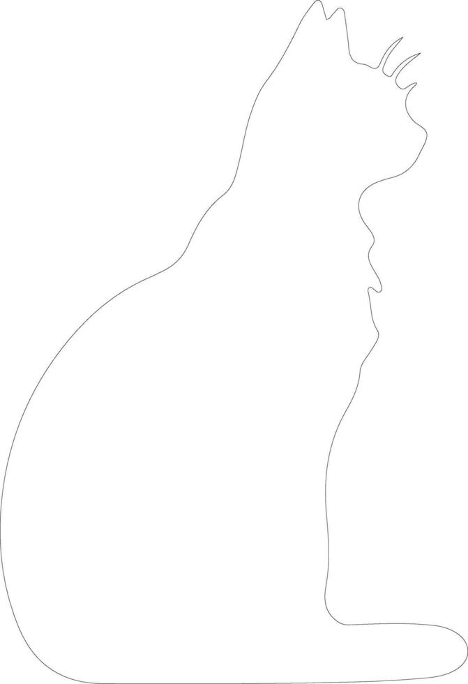 Black cat  outline silhouette vector