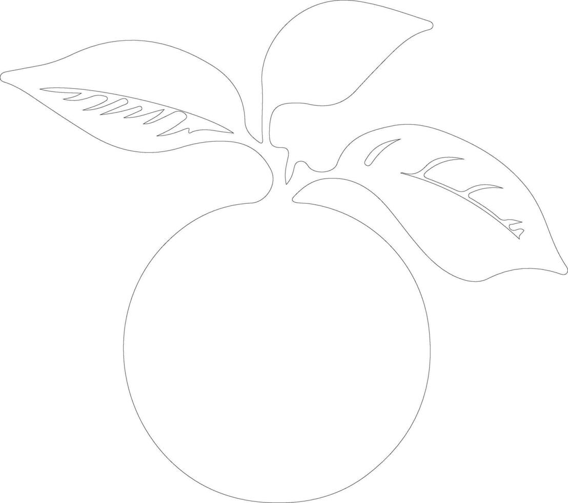 mandarin orange  outline silhouette vector