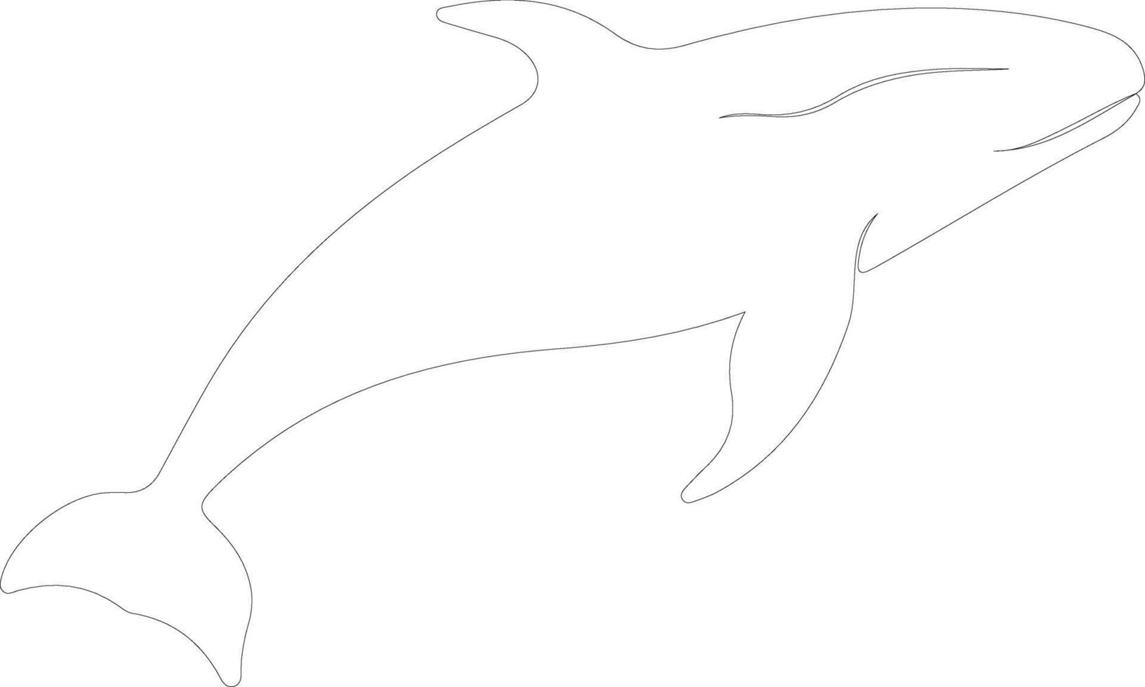 northern right whale  outline silhouette vector