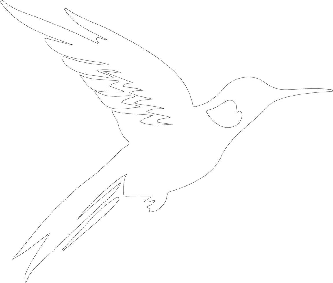 hummingbird  outline silhouette vector