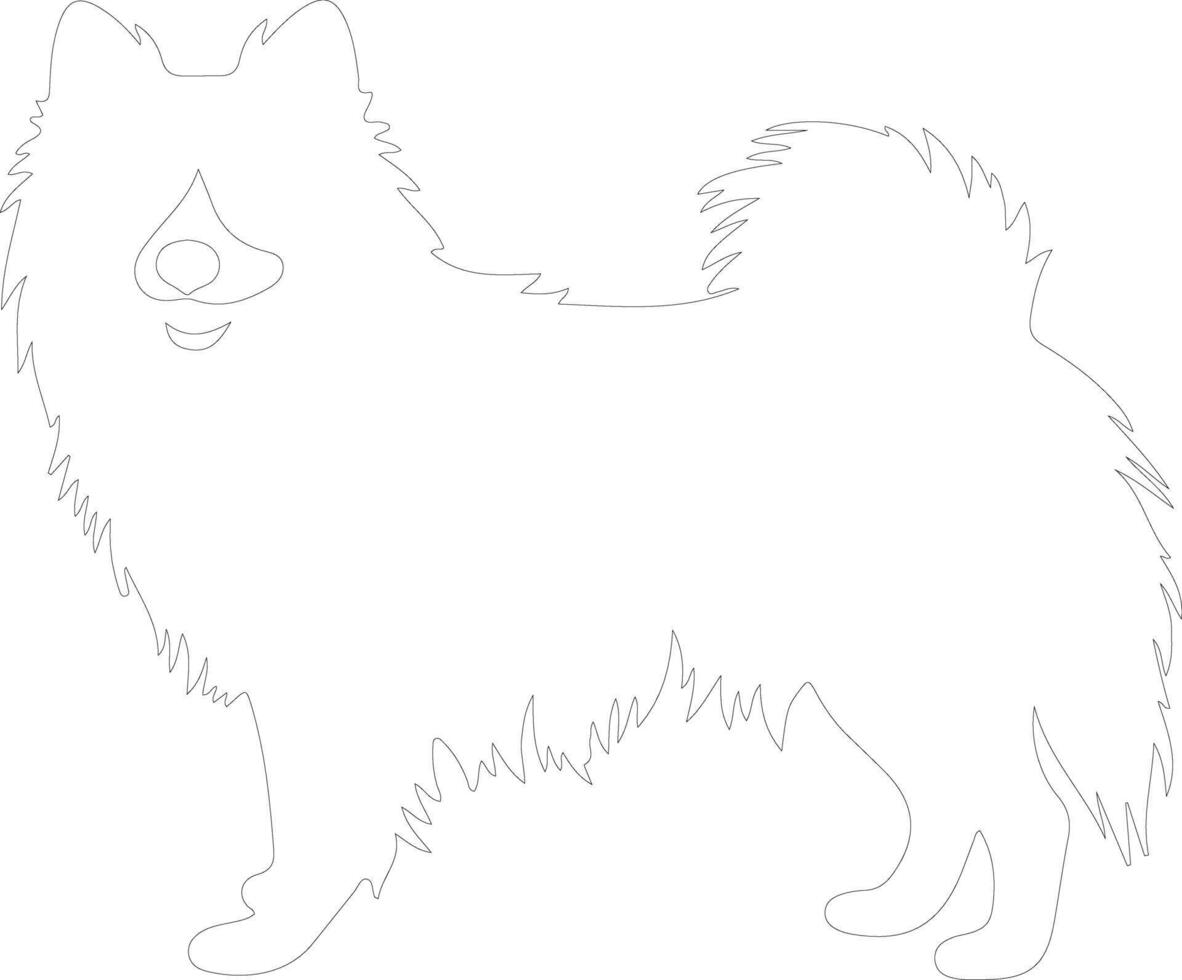 American Eskimo Dog  outline silhouette vector