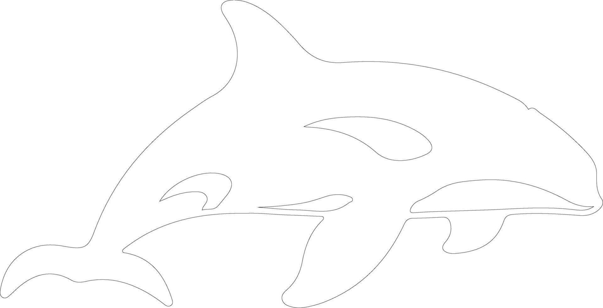 killer whale  outline silhouette vector