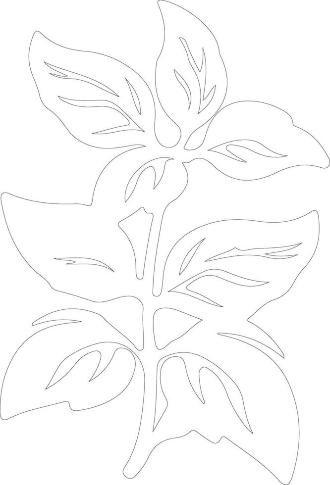 basil outline silhouette vector