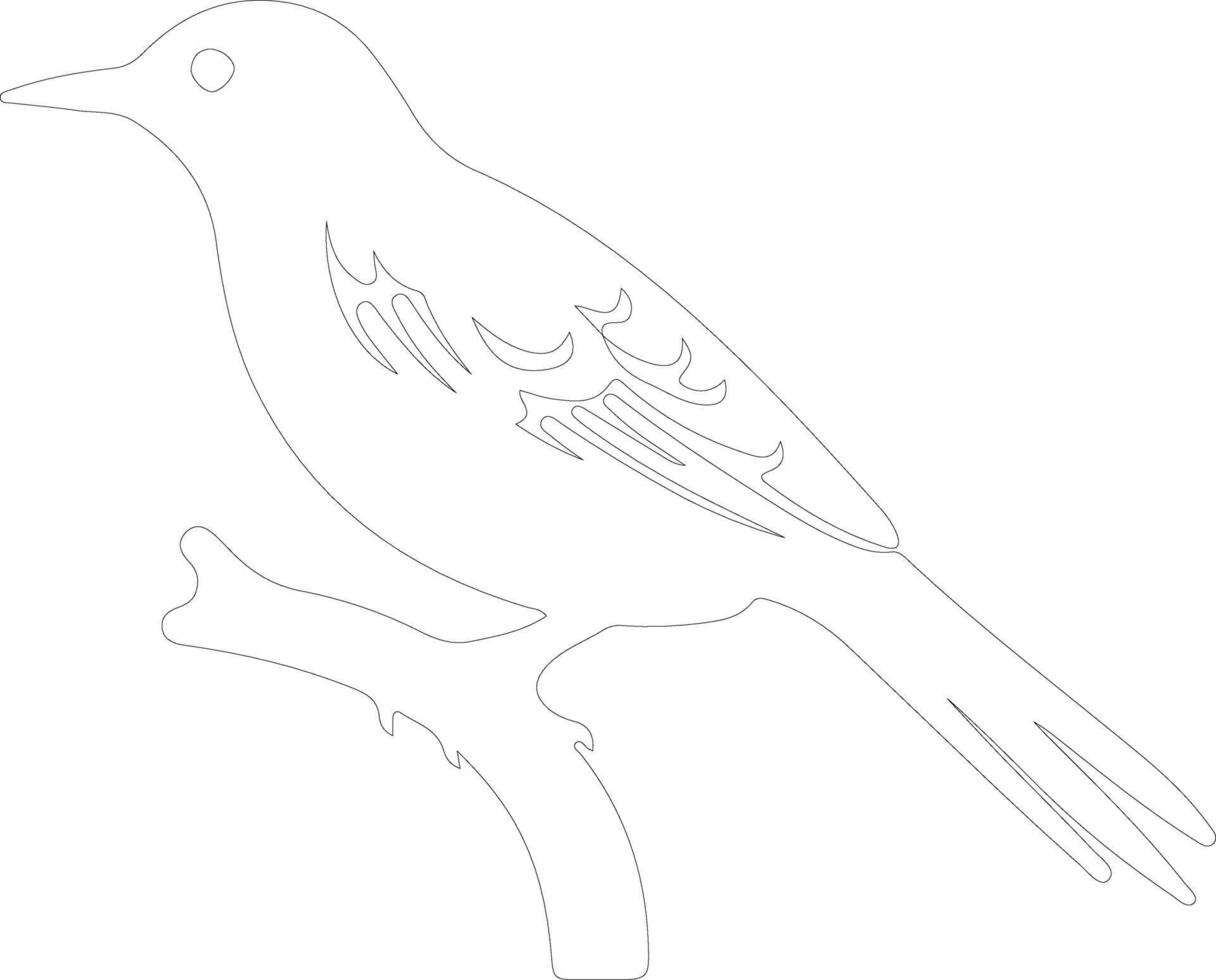 starling   outline silhouette vector
