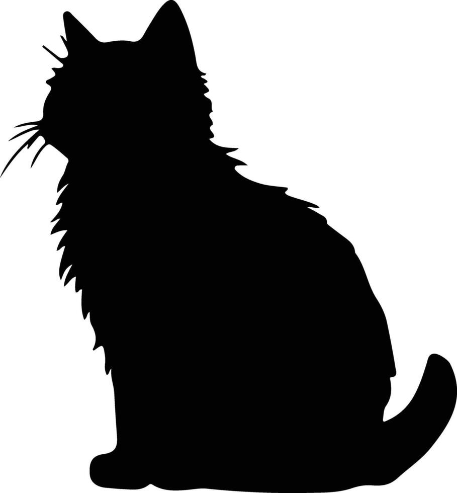 selkirk rex gato negro silueta vector