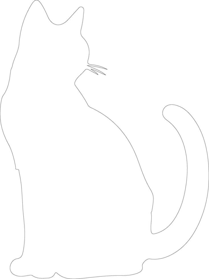 Khao Manee Cat  outline silhouette vector