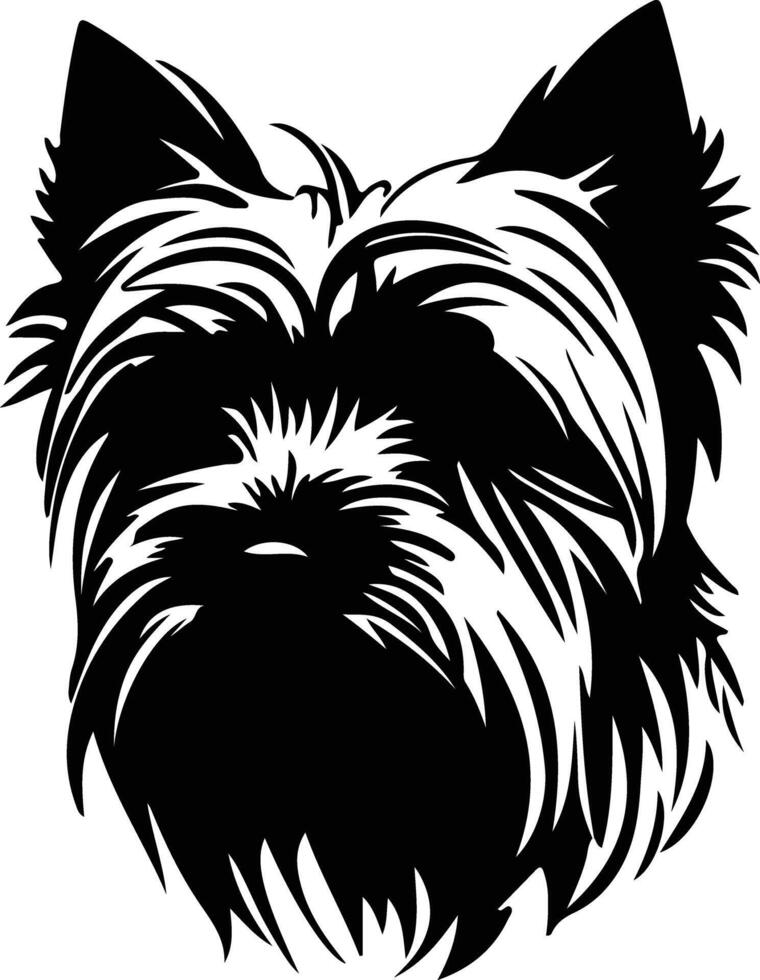 sedoso terrier negro silueta vector