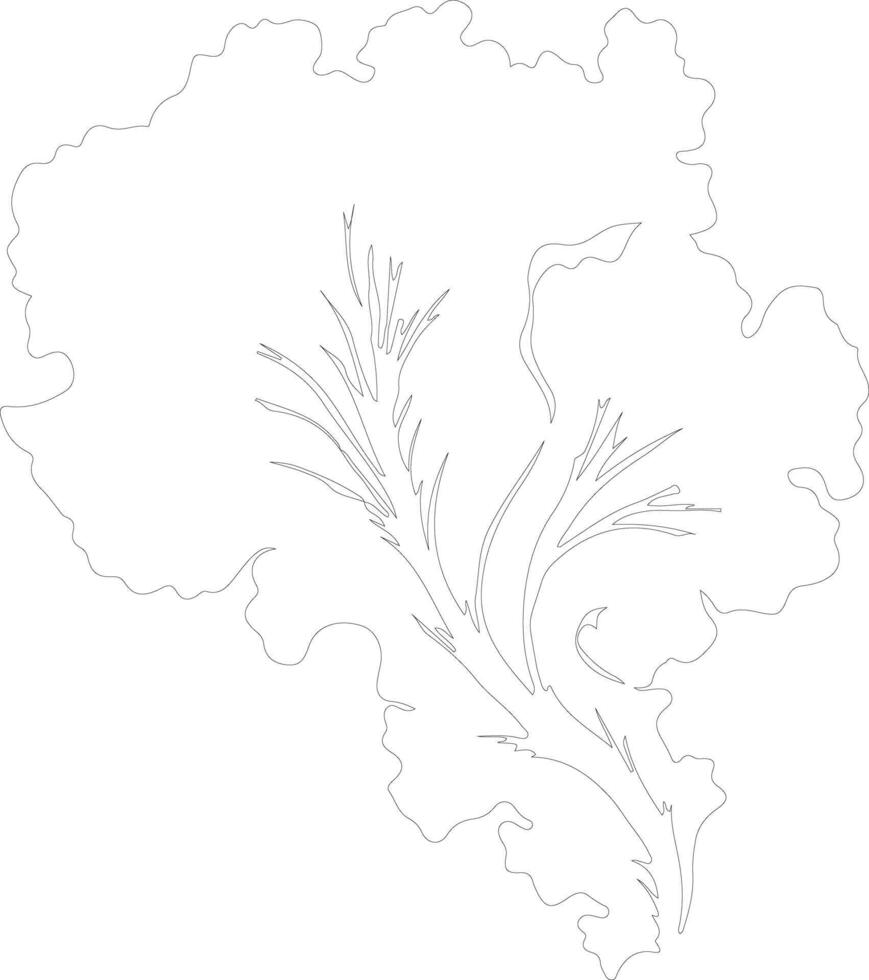 Chinese cabbage  outline silhouette vector