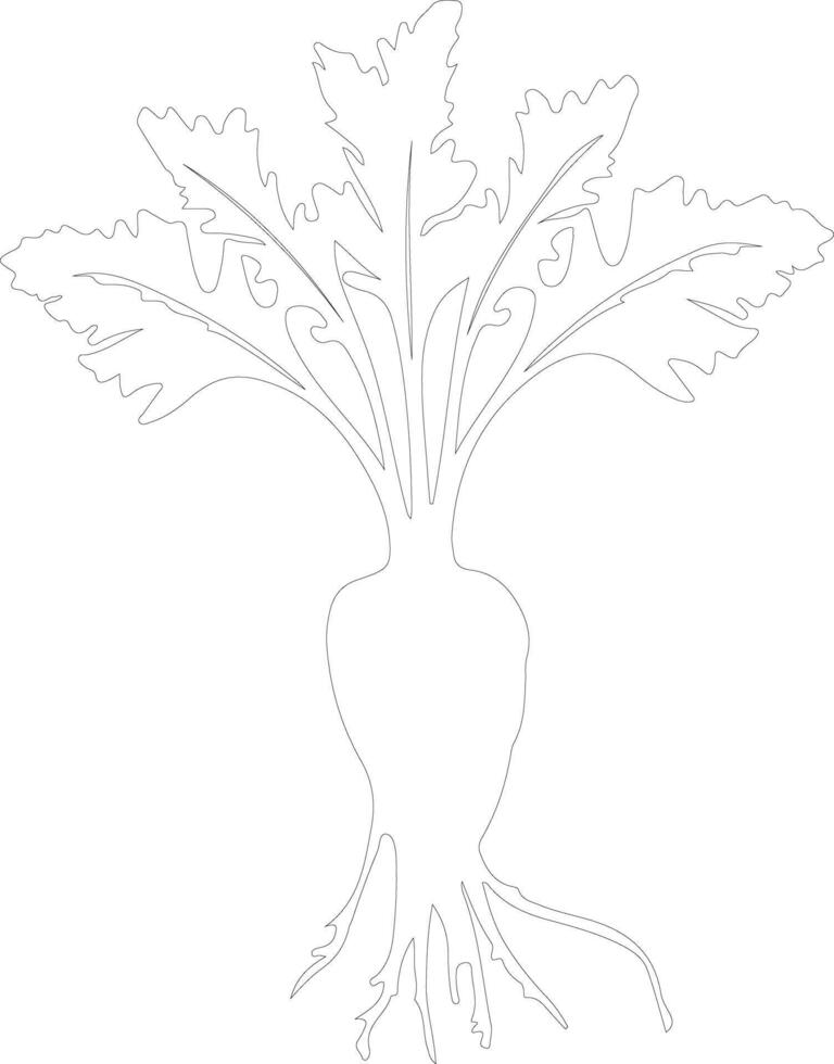 parsnip  outline silhouette vector