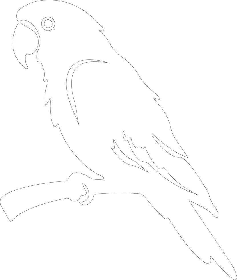 parrot  outline silhouette vector