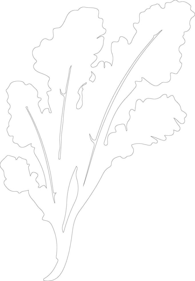 chard  outline silhouette vector