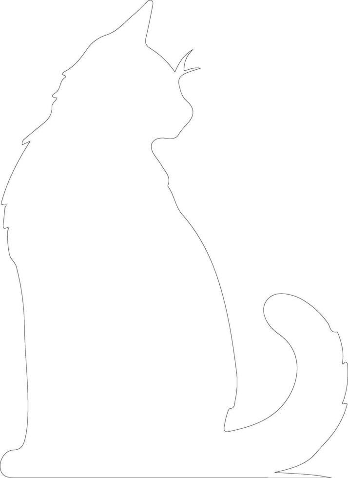 Cymric Cat  outline silhouette vector