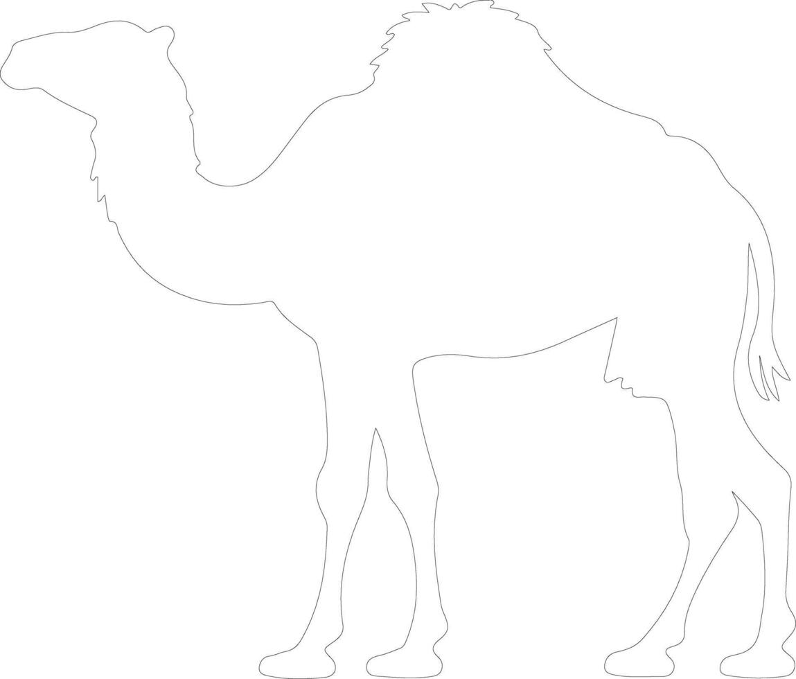 bactrian camel  outline silhouette vector