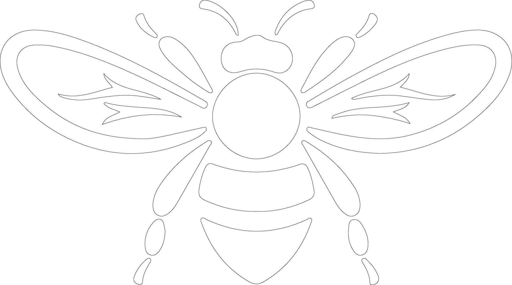 honey bee  outline silhouette vector