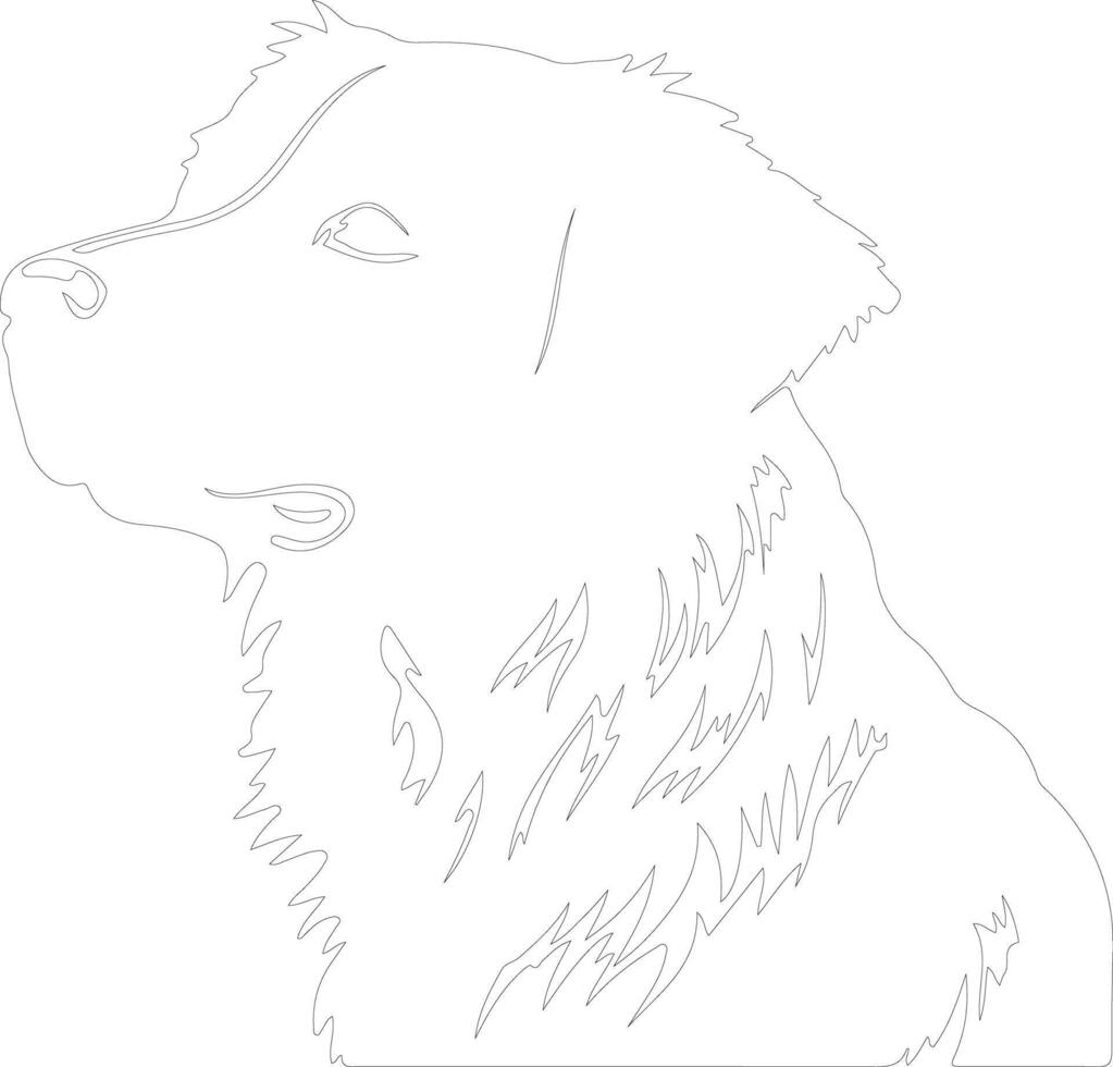 Nova Scotia Duck Tolling Retriever  outline silhouette vector