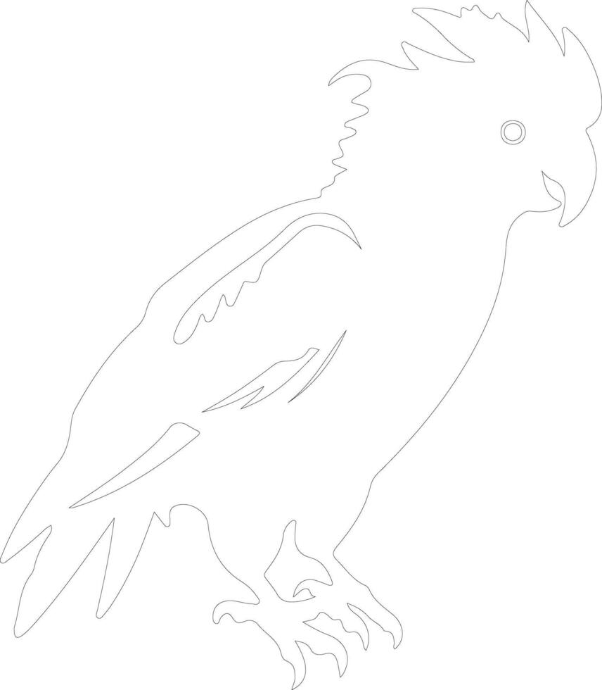 cockatoo outline silhouette vector