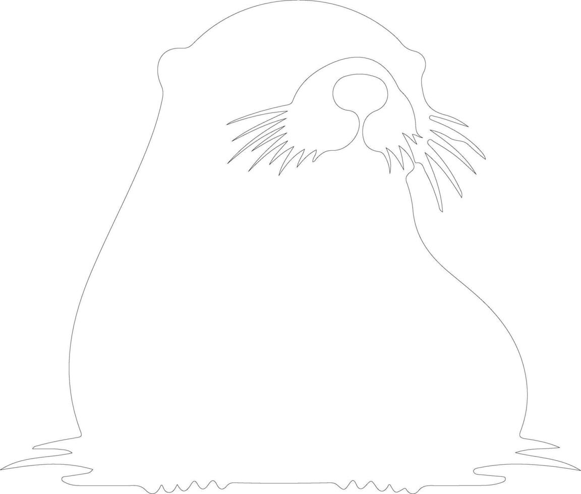 mar nutria contorno silueta vector