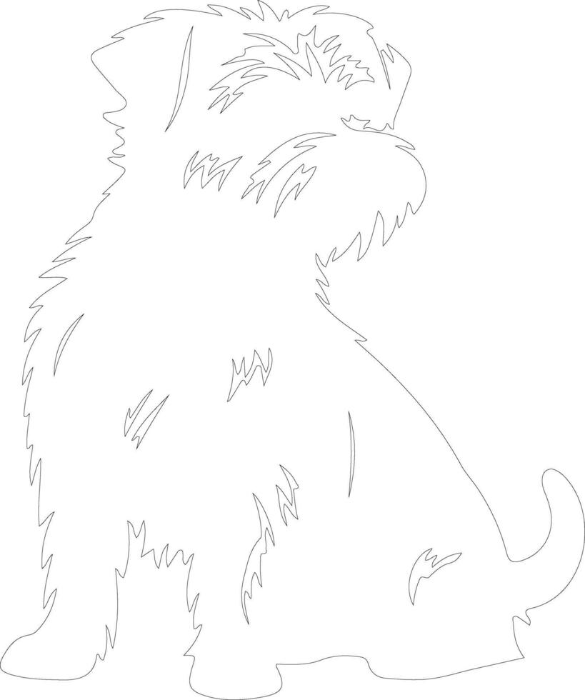 Norfolk Terrier  outline silhouette vector