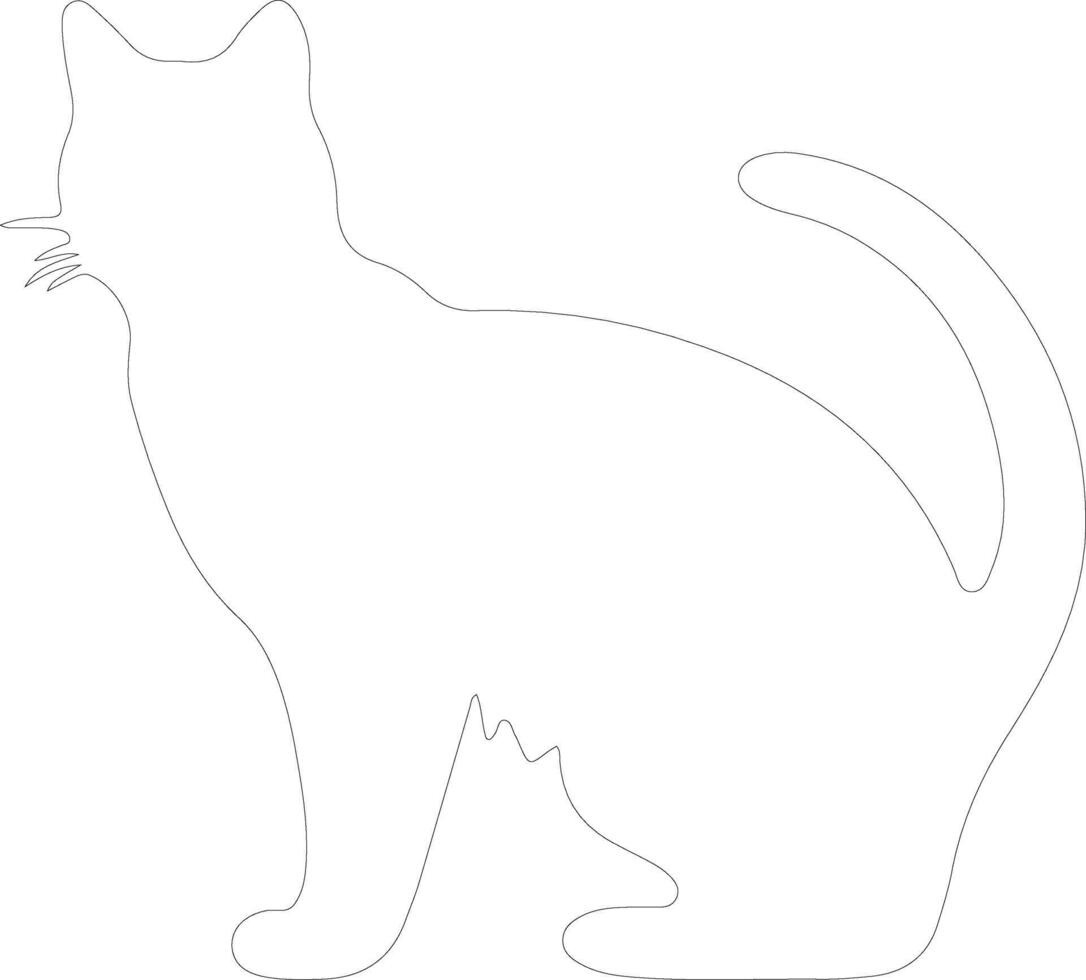 Burmilla Cat  outline silhouette vector