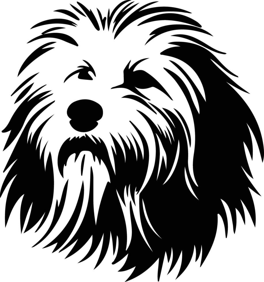 Cotondetulear  silhouette portrait vector