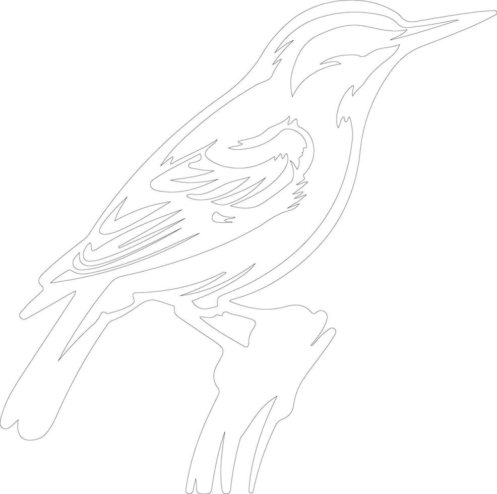 white-breasted nuthatch  outline silhouette vector