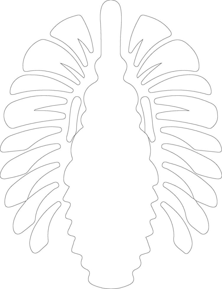Trilobite   outline silhouette vector