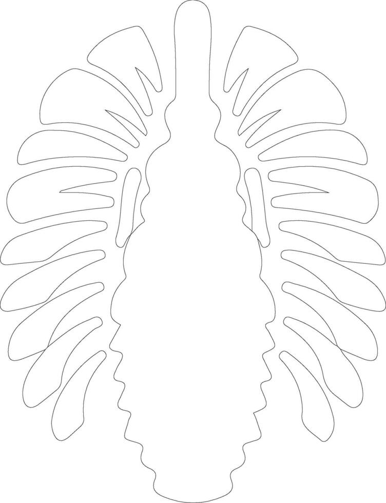 trilobite contorno silueta vector