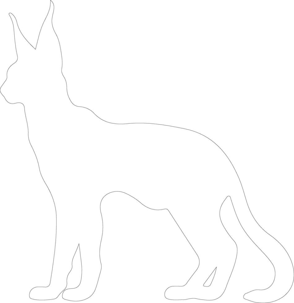 caracal outline silhouette vector