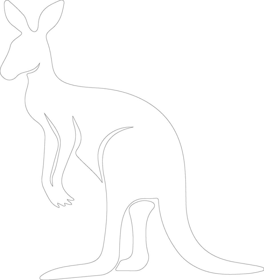 kangaroo  outline silhouette vector