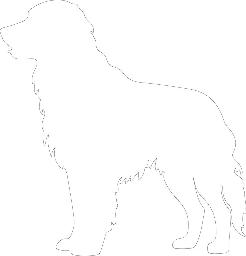 Kuvasz  outline silhouette vector