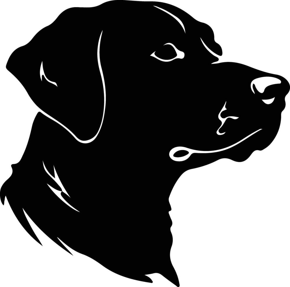 Chesapeake Bay Retriever  silhouette portrait vector